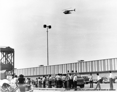 Opération Crevettes, Matane, 1978-1979